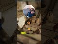 Civilization VI: When Arrows Attack! 🏹😂