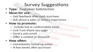 Surveys for Your Business