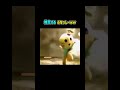 爆発する中を全力疾走するふなっしーww【おもしろ動画】【面白い】【面白い動画】【ふなっしー】