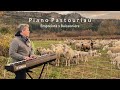 Piano pastouriau  nature piano concert  julien ngre