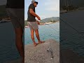 Waktu Paling Tepat Mancing Selar: Ngotrek Menjelang Maghrib.#fishing #mancing #pemecahombakmerak