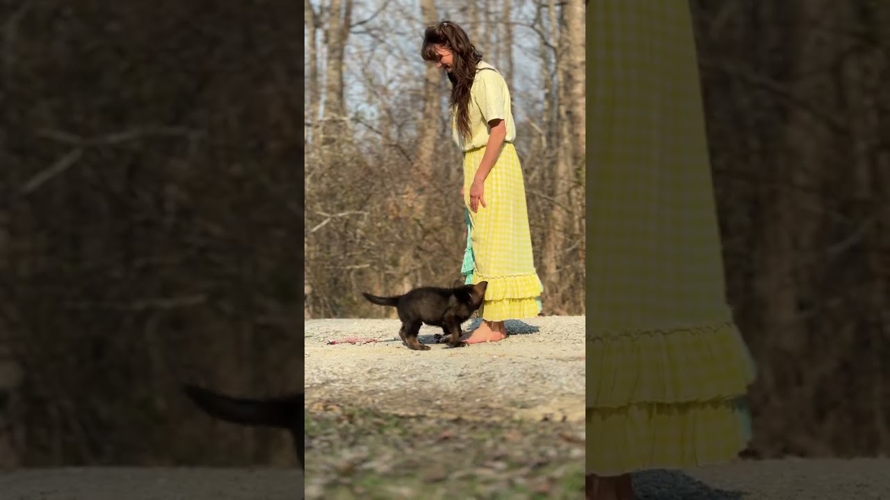 Mr Red Mira and Jack