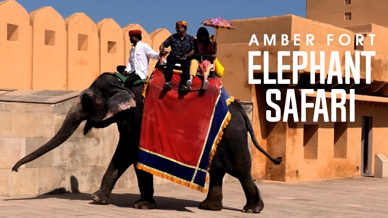[4K] 🐘 Tourists at Amber Fort, Jaipur