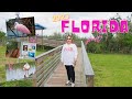 Spoonbill and Rocket Hunting (Part 1 of 2023 Florida Travel Vlog)