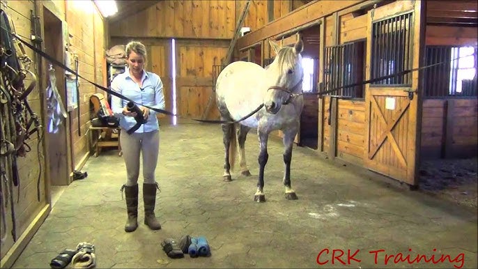 Proper Placement of Your Horse's Tendon Boots 