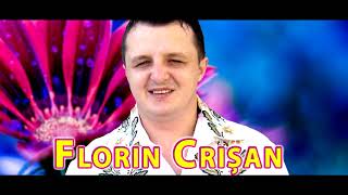 Florin Crisan - De ce totu-i trecator