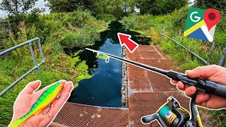 Are there pike left in this ABANDONED canal?