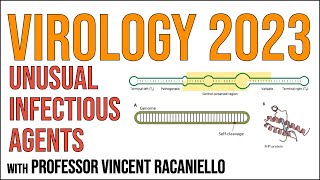 Virology Lectures 2023 #24: Unusual infectious agents