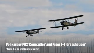 Polikarpov Po-2 Corncutter And Piper L-4 Grasshopper - Army Co-Operation Stalwarts
