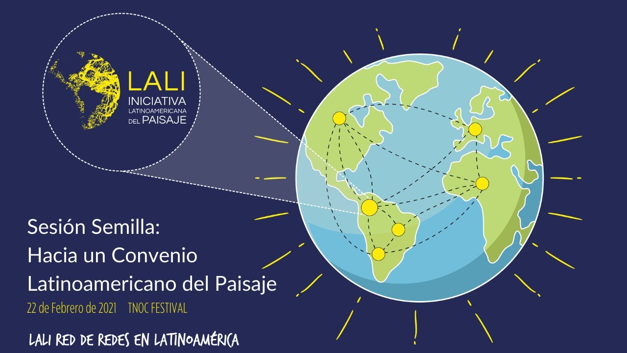 adidas yeezy zalando junio