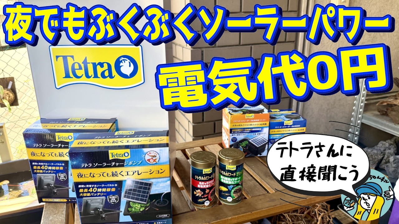 電気代0円で夜でもぶくぶくソーラーパワー!(テトラさんに直接聞く!待望の新商品の利点とは?)
