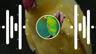 SUVA NACHE SATO BAHINI YA,( UNDERGROUND SONG) DJ SAURABH RJN