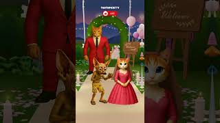 That Silly Cat Is Up To Its Antics Again