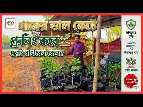 ছাদ বাগানে কেন ঝোপালো জাতীয় গাছ লাগাবেন? 🌿🌱 | Bushy Plants Benefits