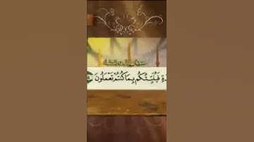 الجزء الحادي عشر من القرآن الكريم #للقارئ #الشيخ #ماهر_المعيقلي #القرآن_الكريم