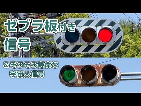 Traffic Light with a Backboard (Zebra Plate) & An Alien Traffic