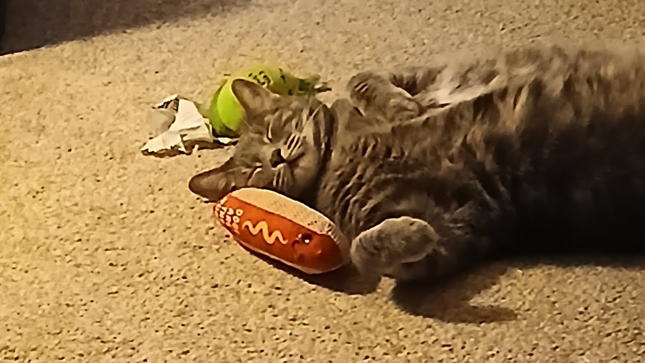 Сегодня вечером буду читать 1 Фессалоникийцам 