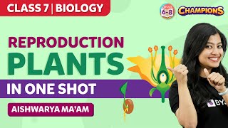 Reproduction in Plants Class 7 Science Chapter 12 in One Shot | BYJU'S - Class 7 screenshot 2