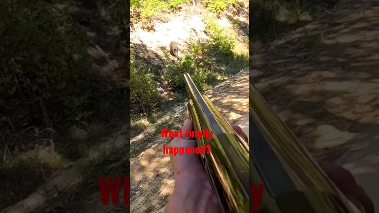 Один выстрел — одна добыча»