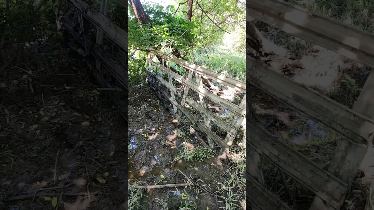 Drainage ditch digging