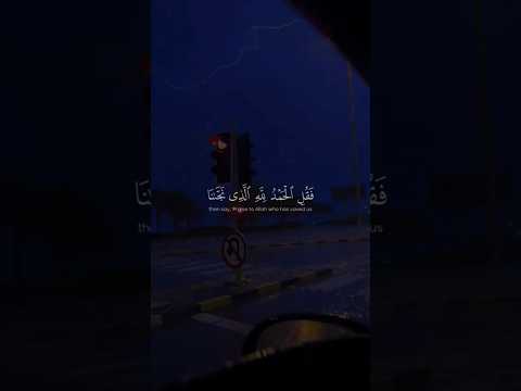 فقل الحمد لله💙 #shortsvideo#اكسبلور#اكسبلور#yasseraldossary#الصبر#الصبر#القرآن#راحة_نفسية#لايك