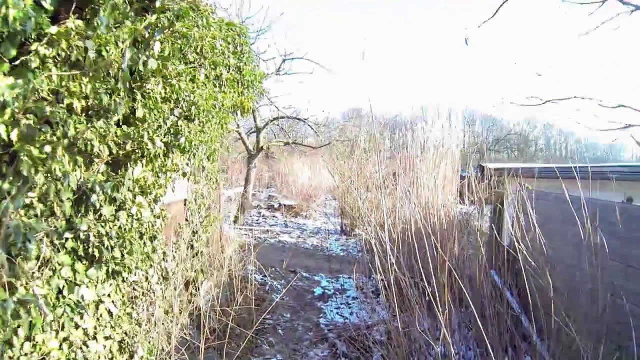 Status Prüner Schlag 26-01-2014