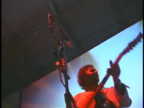 The Flaming Lips - Do You Realize? Live @ Berkfest...