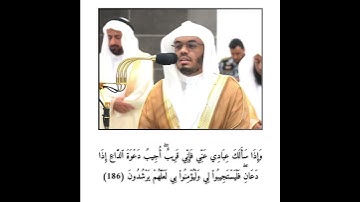 فضيلة الشيخ أ.د#ياسر_الدوسري #إمام_الحرم_المكي #راحة_نفسية #مكه #تلاوة #خاشعة #انشر_تؤجر_بإذن_الله