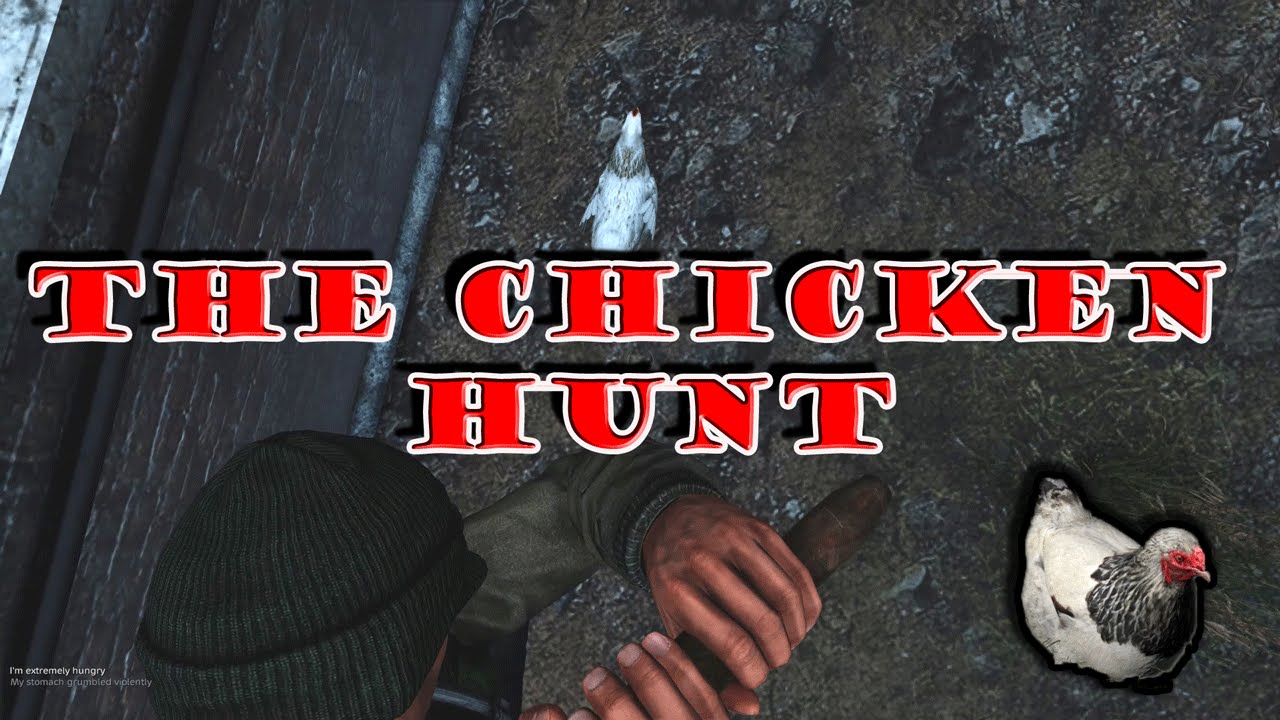 DayZ Standalone .60 Choking the Chicken! YouTube