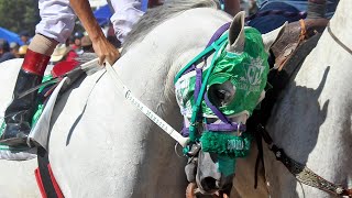 Carreras de Caballos en Imuris 11 de Junio 2023