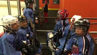 Pasadena Maple Leafs. ADM Mites Track 1. Final Cluster Games of 2015-2016 Season (02-20-2016)