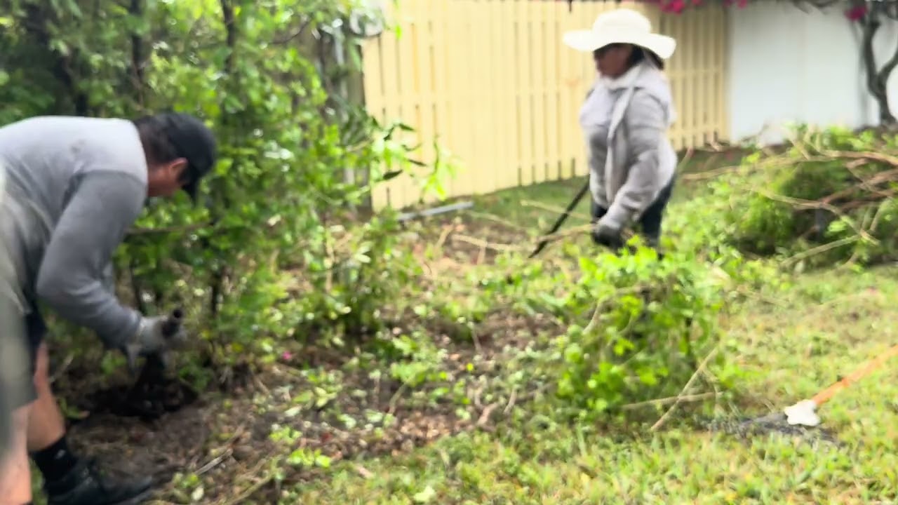 SACANDO UNAS MATAS Y PLANTANDO UNA CERCA #trending #plantas #viral #arlawnservice