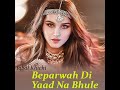 Beparwah Di Yaad Na Bhule Mp3 Song