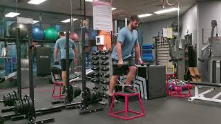 Step Ups with Dumbbell Contralateral