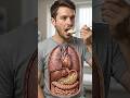 Mashed Potatoes Digestion in 3D | Cinematic Medical Anatomy Animation #humanbody #healtheducation
