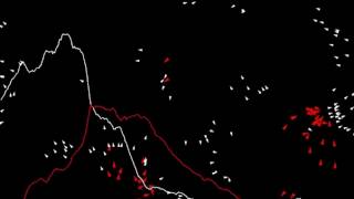 Predator prey dynamics, flocking behavior