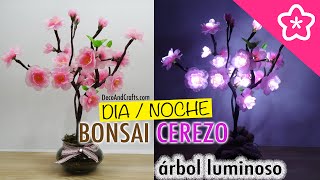 Decorative Cherry Bonsai Tree with LED Lights - DecoAndCrafts