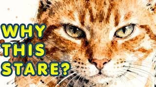 Why Does Your Cat Stare at You — It’s Not What You Think screenshot 1