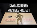 Case XX Bowie ~ Possible project NEED YOUR FEEDBACK