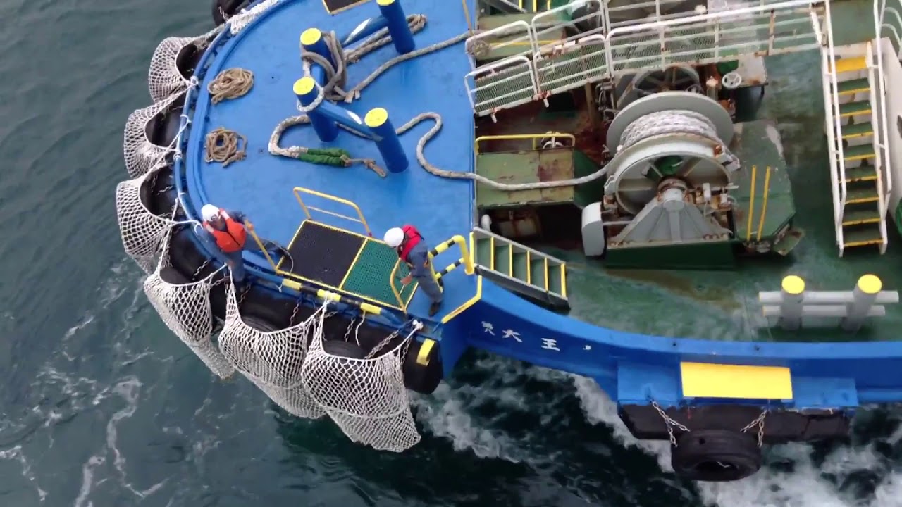 那覇沖 サンプリンセスからタグボートに戻るパイロット