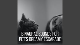 Pet's Path to Relaxation