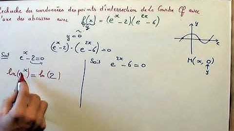 Fonction exponentielle : intersection d