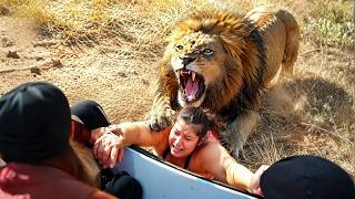85 Incredible Safari Moments Caught On Camera | Amazing Animals #1