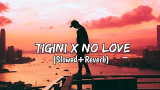 Tigini x No Love Mashup Slowed And Reverb - LO-FI 