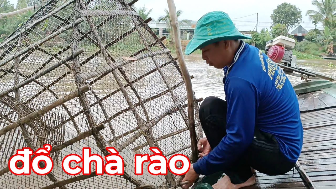 Hong Cha Rao đổ chà rào miền sông nước | tình tv - YouTube