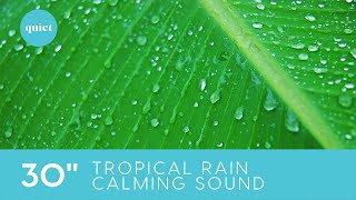 CALM YOUR MIND IN 30 SECONDS | Nature Break | Tropical Rain Forest sound #shorts