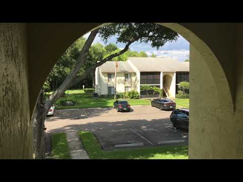 Florida Deer Hollow - 2019 June