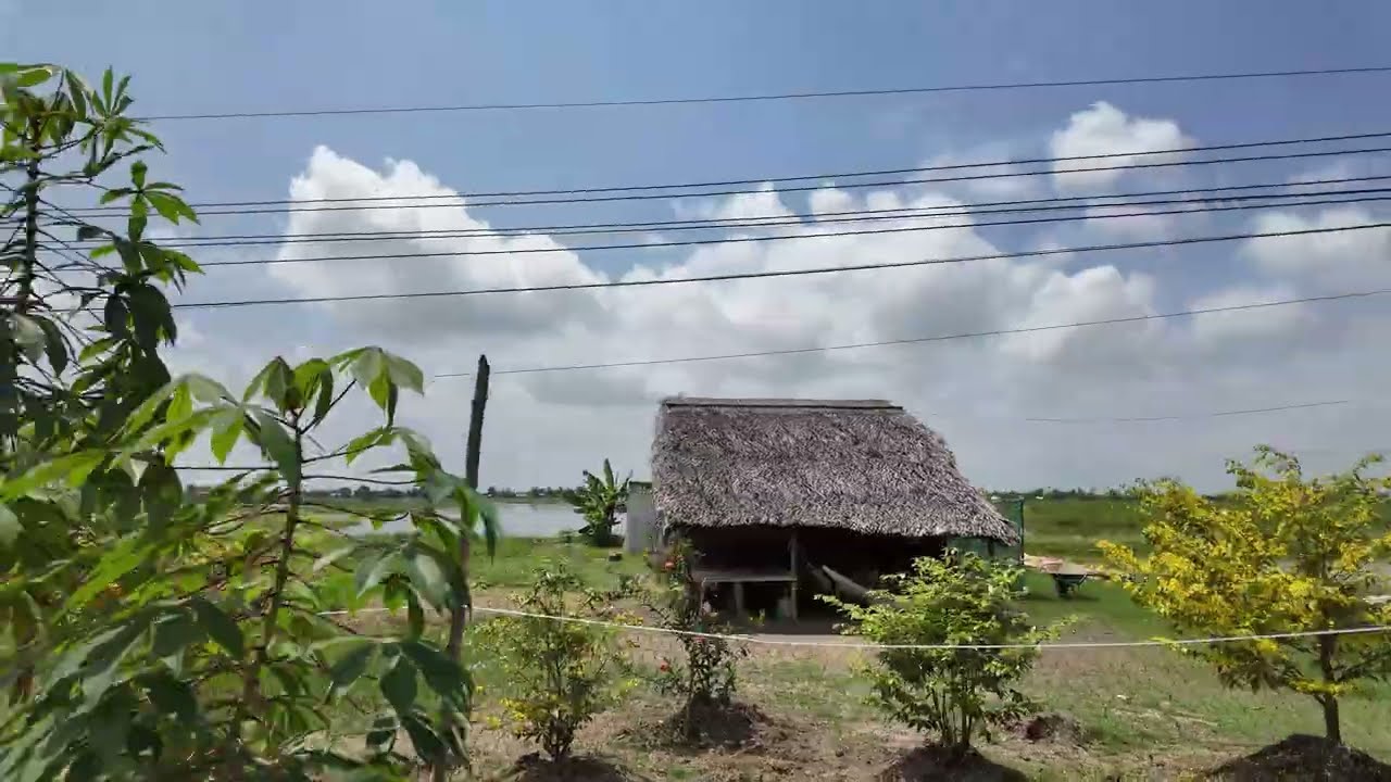 Vùng đất buồn rộng lớn, vắn bóng người trẻ sau tết