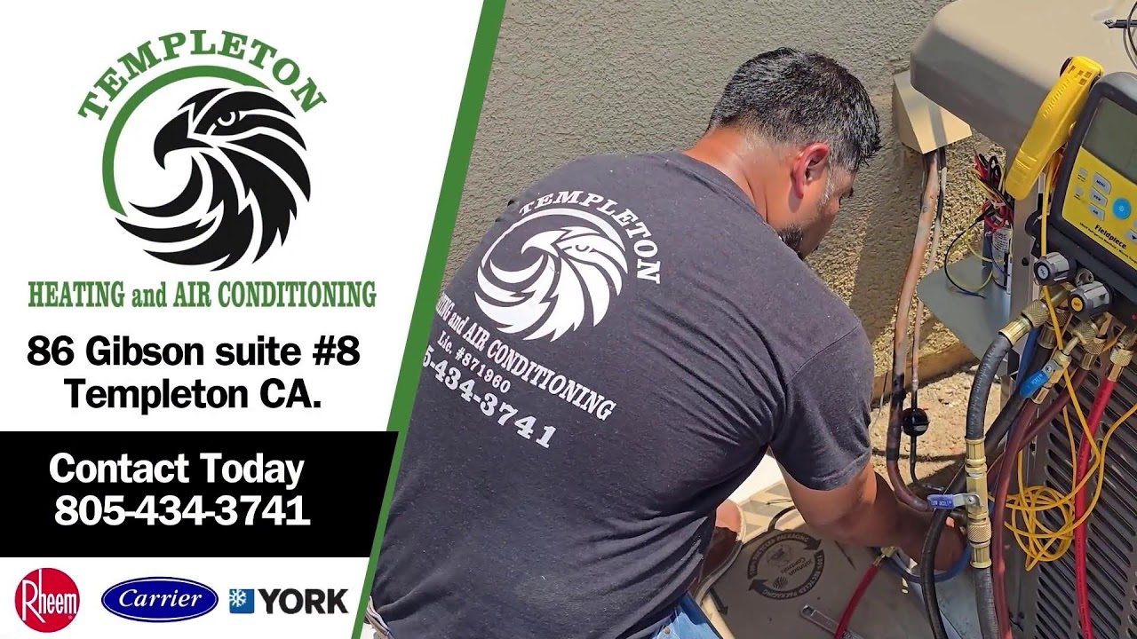 The Morning Brew Show | Templeton Finishes PERFECT Season + Local Headlines