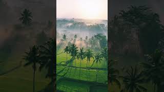 Nature Sounds Relaxing Music for Stress, relief, Sleep #shorts #Relaxing #Music